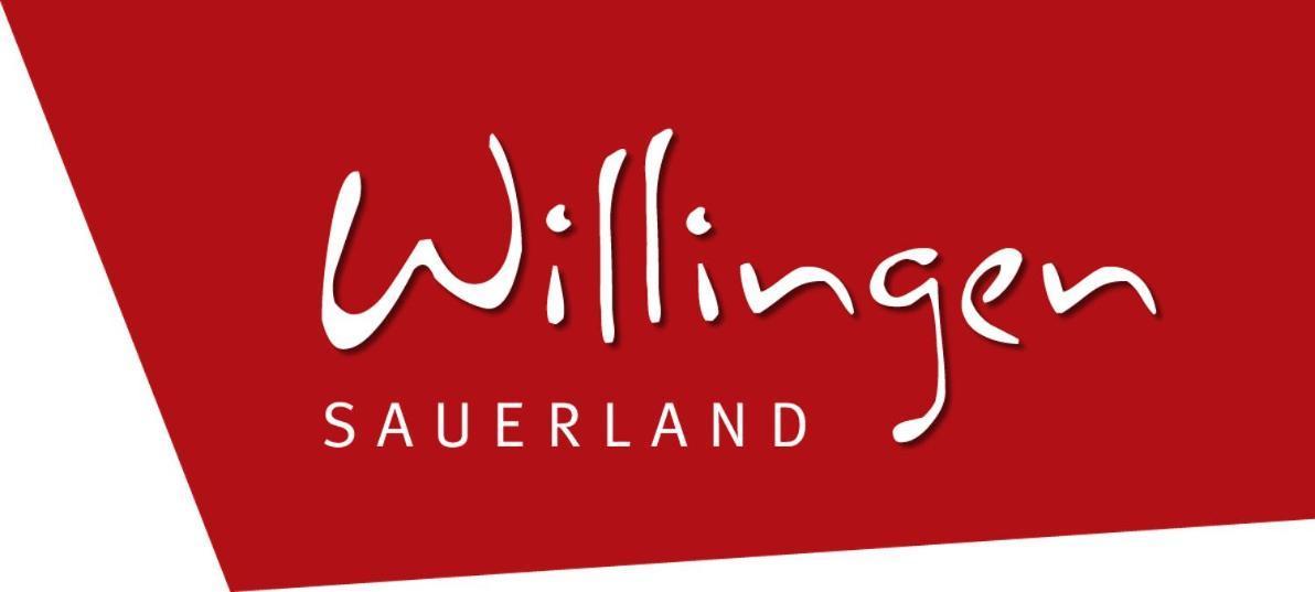 Appartement Happynest*** Mit Hallenbad Willingen  Zewnętrze zdjęcie