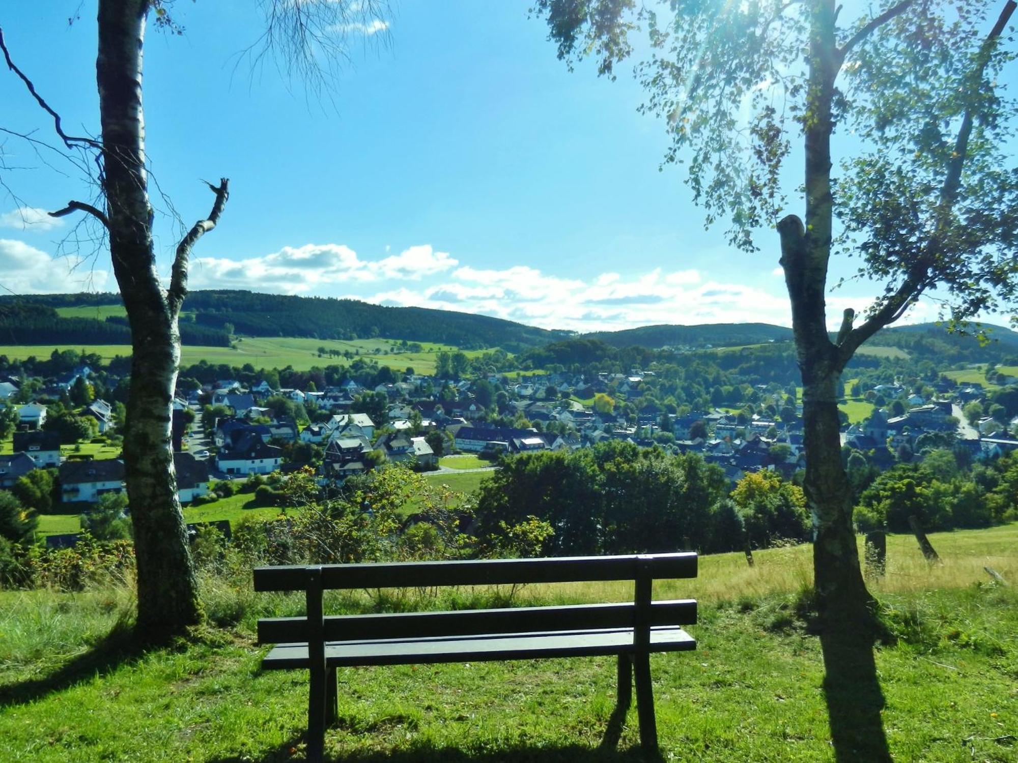 Appartement Happynest*** Mit Hallenbad Willingen  Zewnętrze zdjęcie