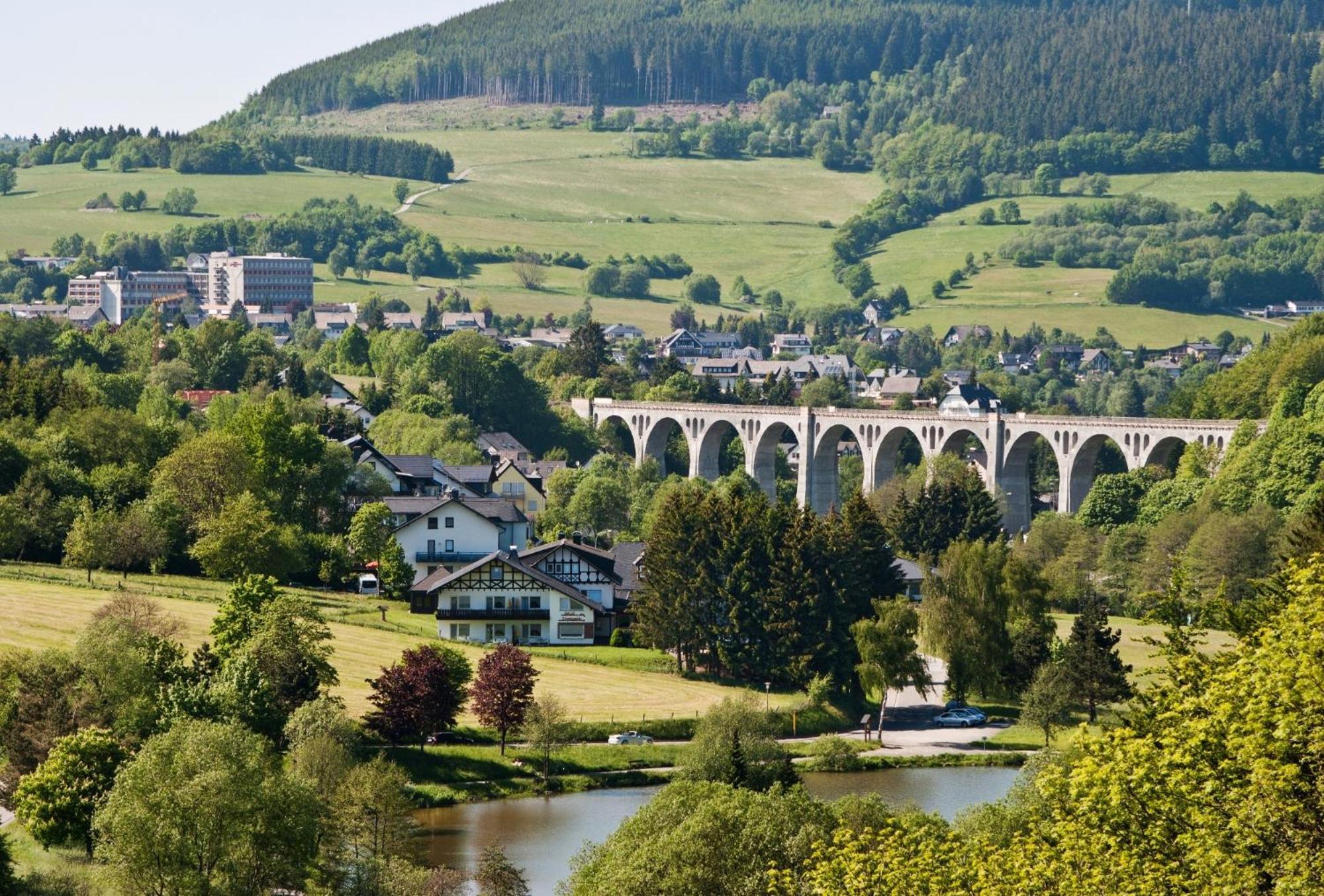 Appartement Happynest*** Mit Hallenbad Willingen  Zewnętrze zdjęcie